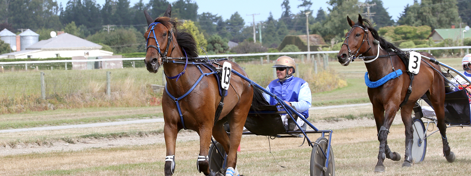 HRNZ | Harness Racing New Zealand