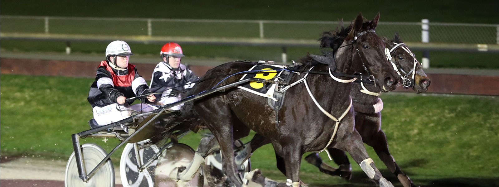 HRNZ | Harness Racing New Zealand